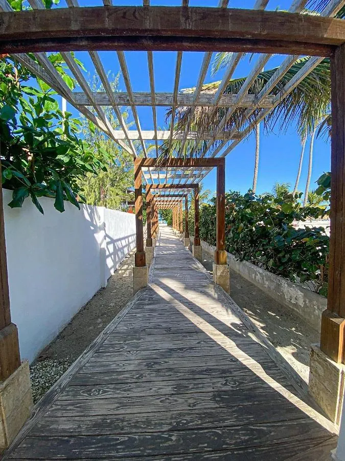 Acceso A La Playa 2 Hab 3 Camas 6 Pax Bella Piscin Apartamento Punta Cana República Dominicana